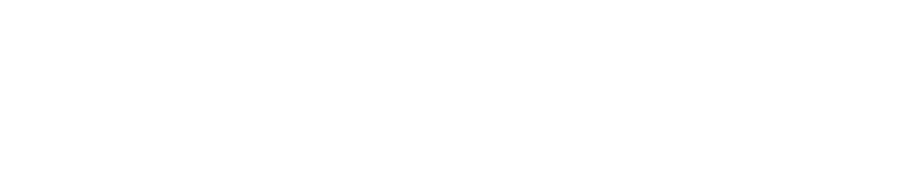 Lingo School